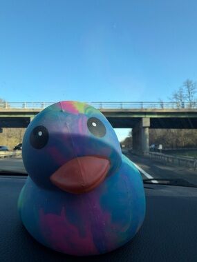 Viral duck Colorful squishy toy